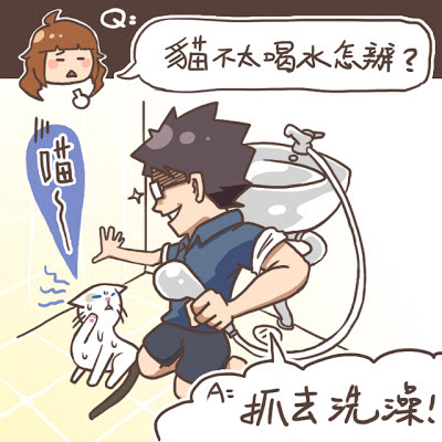 貓不太喝水怎麼辦？