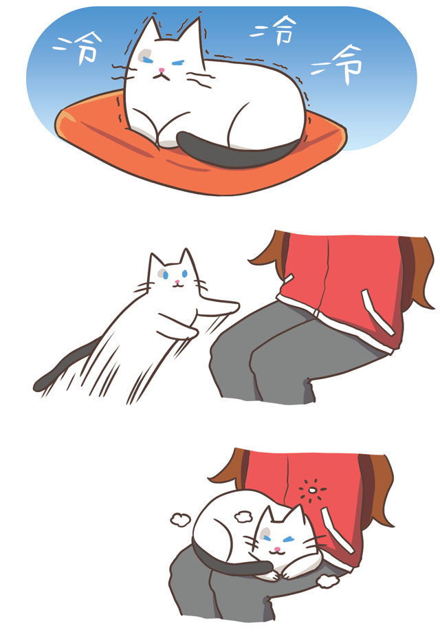 貓冷冷