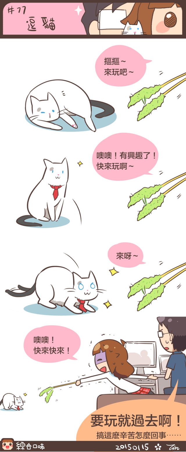 #77 逗貓