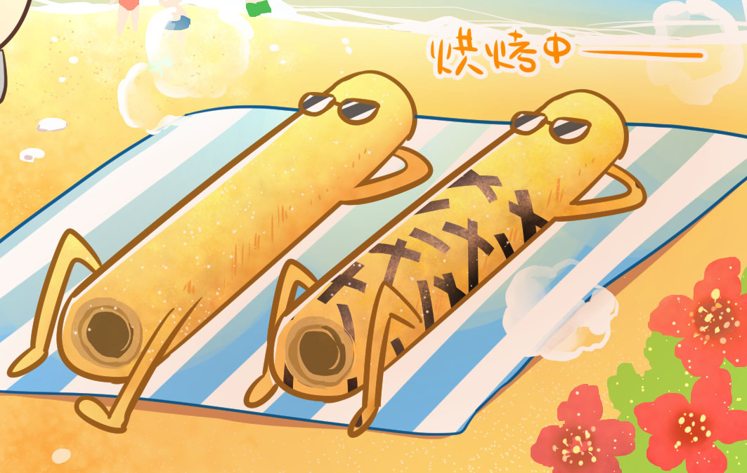 海邊走走蛋捲綜合口味海邊日光浴