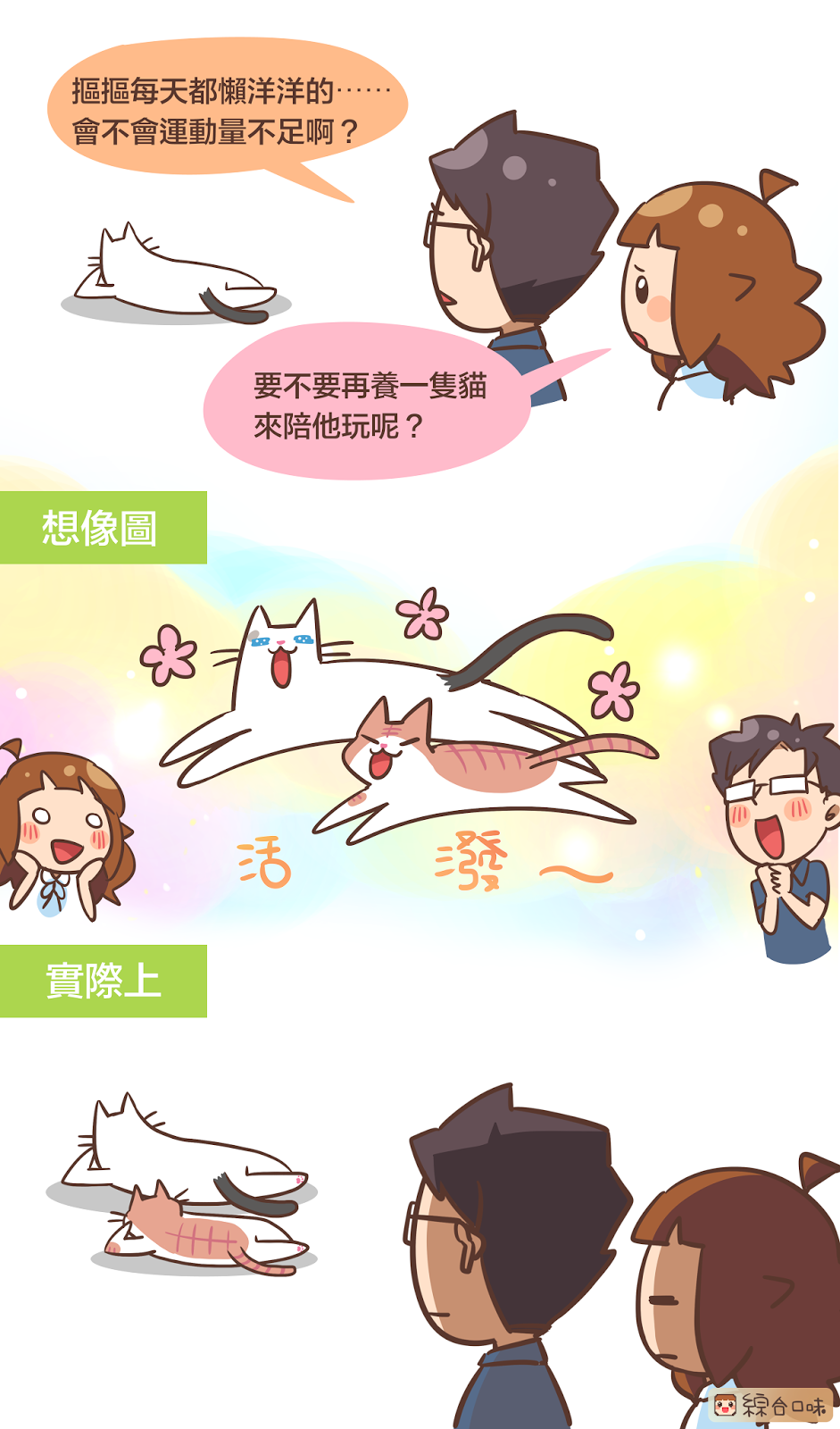 【 #貼圖花絮 5】想想，養第二隻貓好像沒什麼用
