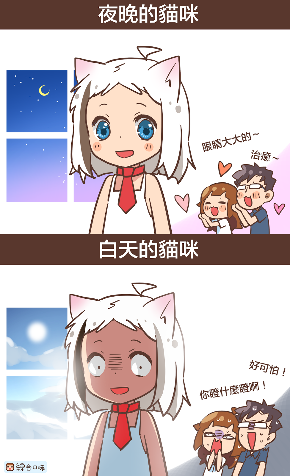 夜晚的貓咪 VS. 白天的貓咪