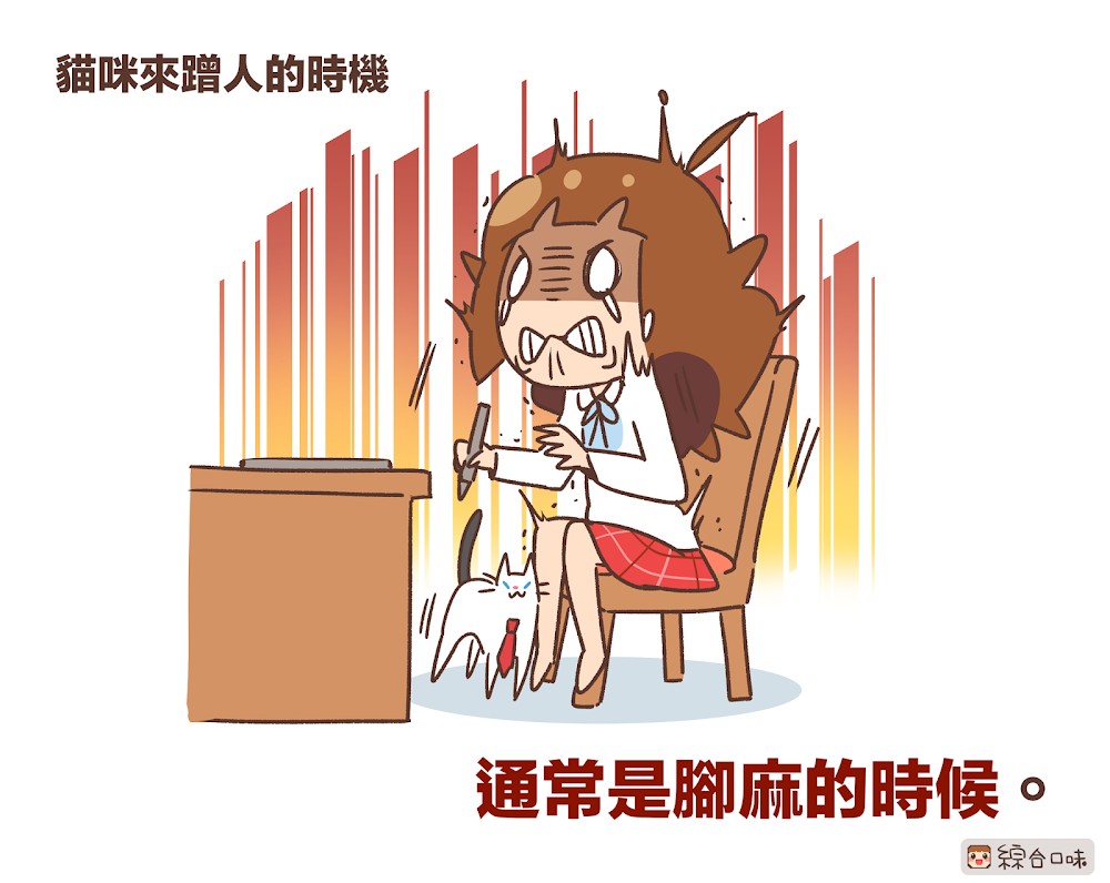 貓蹭人的時機總是這麼巧！！