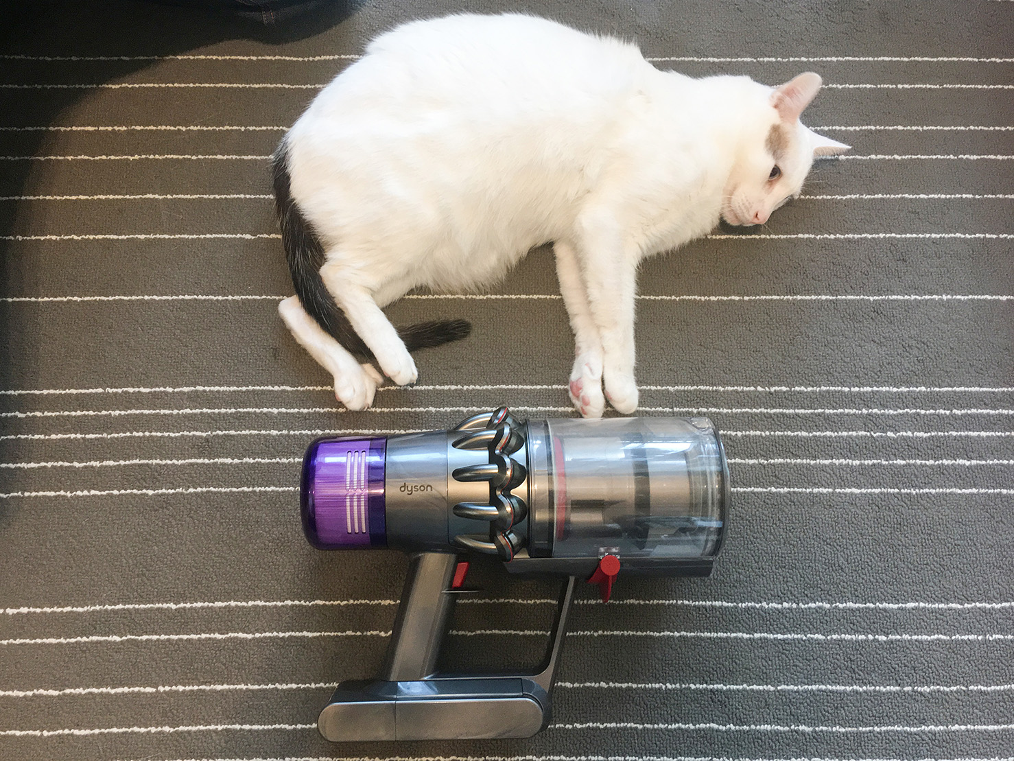 目前最強的手持式吸塵器——Dyson V11™ Absolute 智能手持無線吸塵器