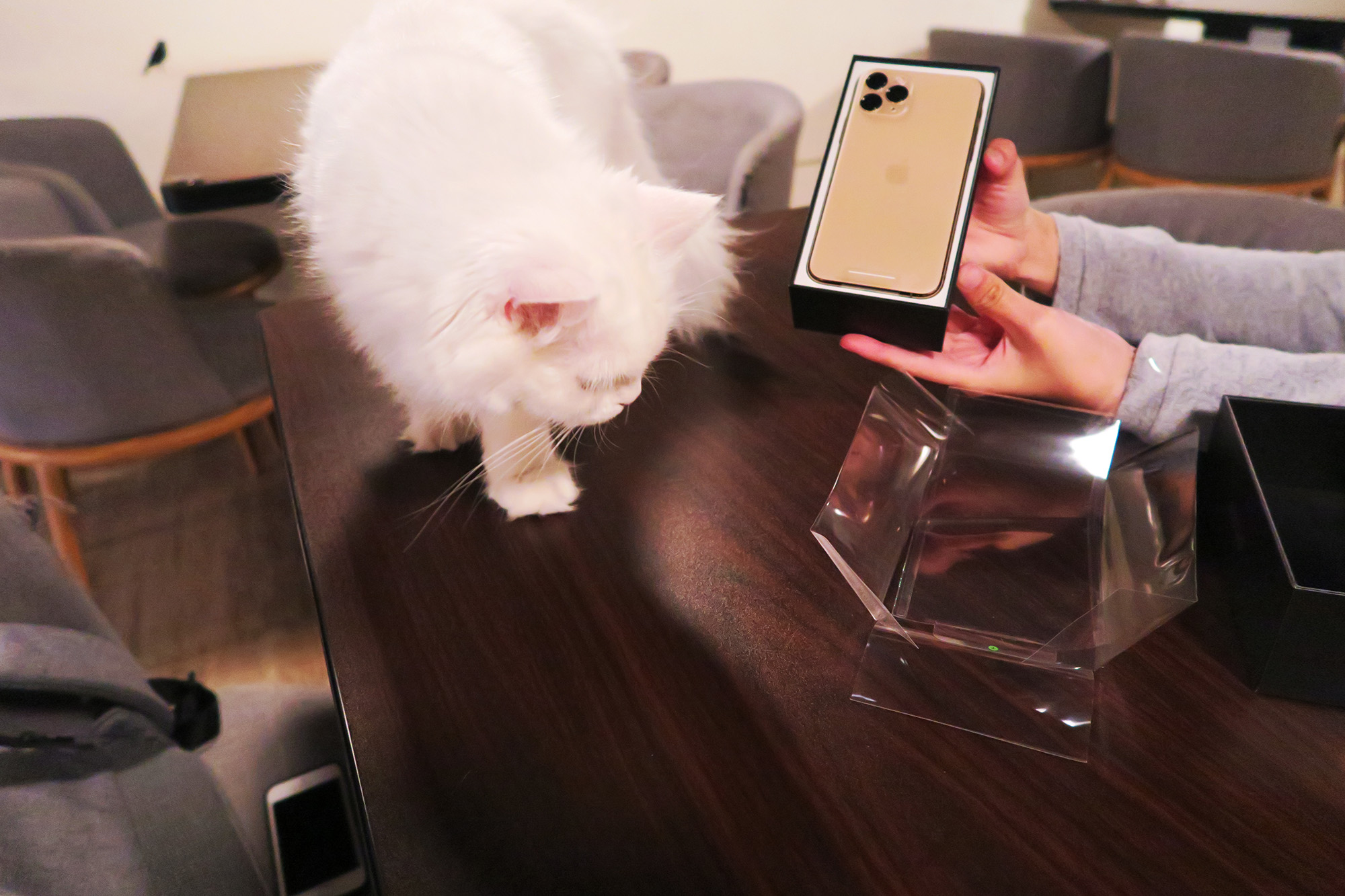 iPhone 11 Pro 金色開箱
