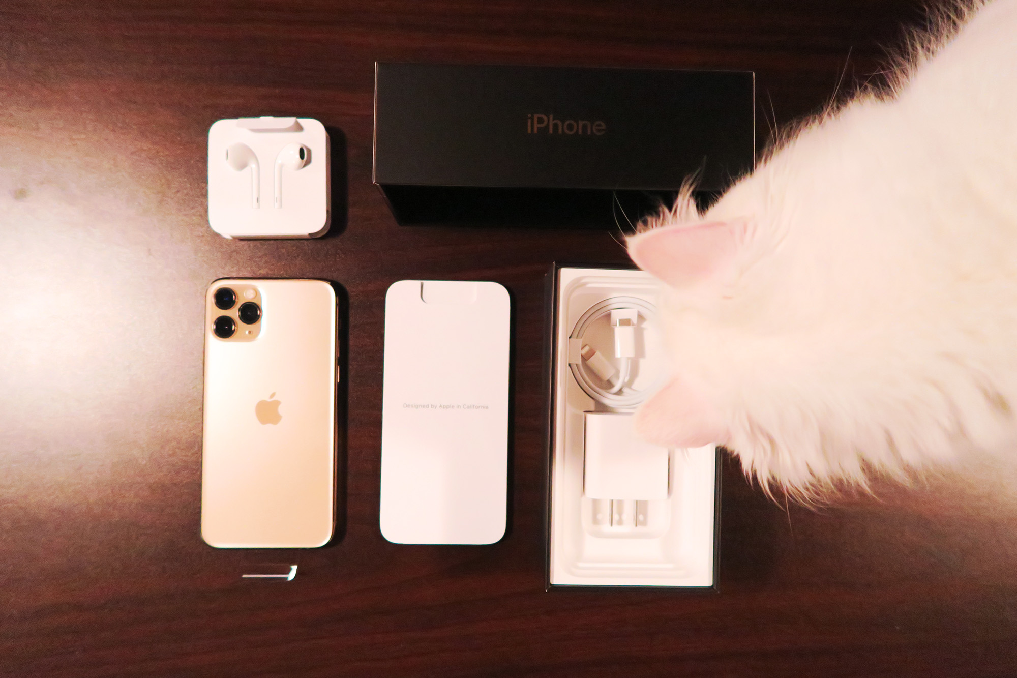 iPhone 11 Pro 內容物