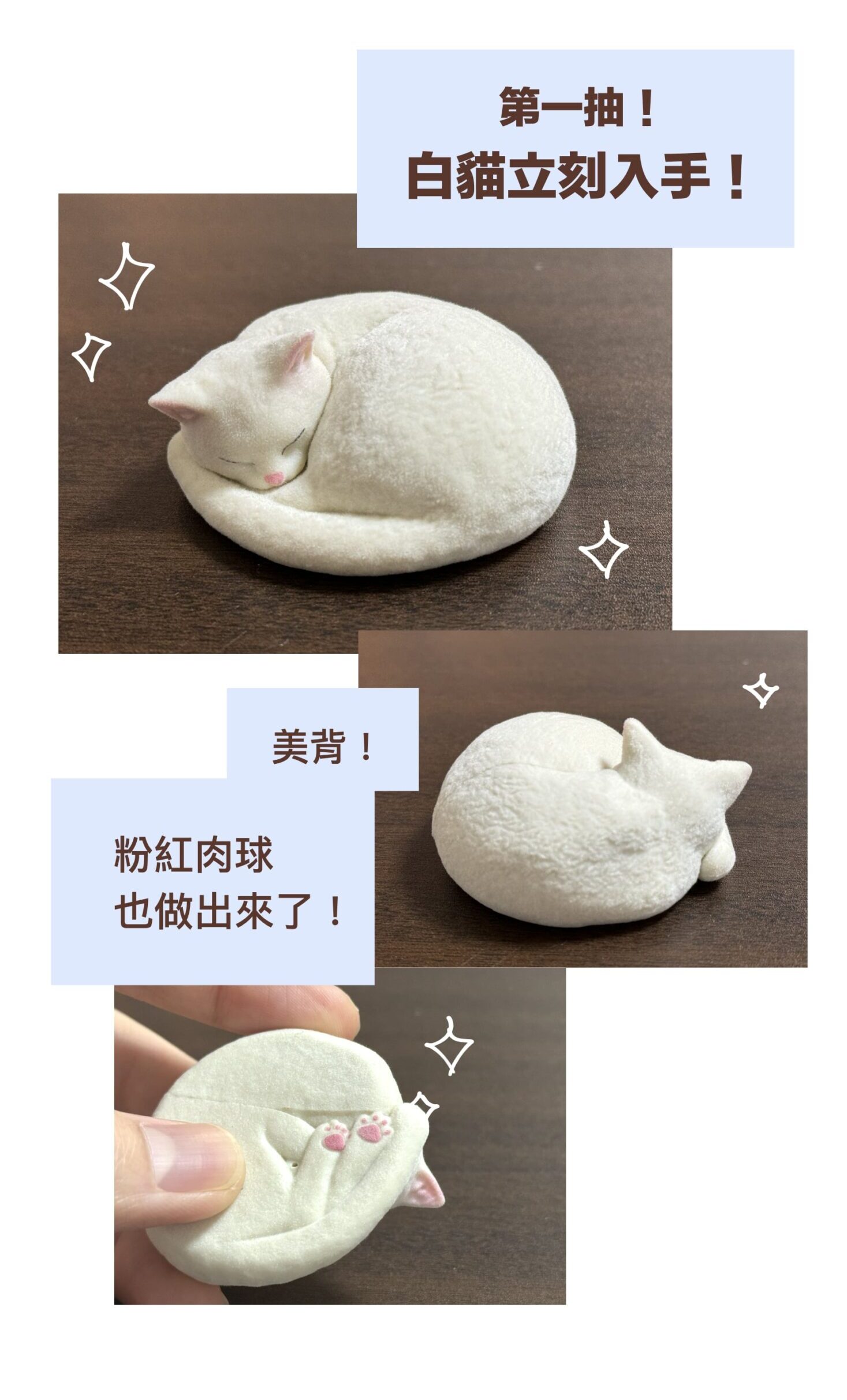第一抽！白貓立刻入手！美背！粉紅肉球也做出來了！
