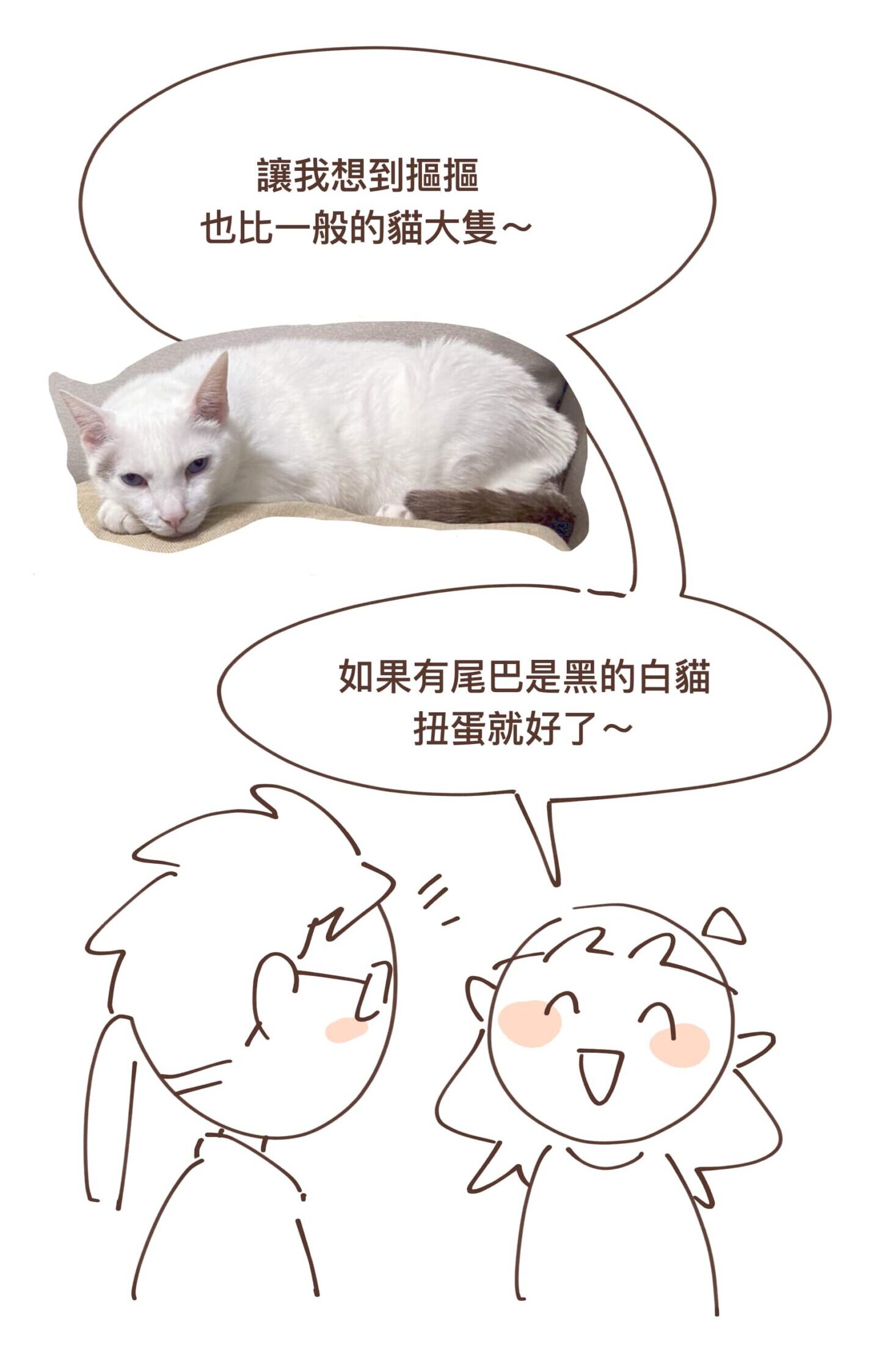 讓我惁到摳摳也比一般的貓大隻～如果有尾巴是黑的白貓扭蛋就好了～