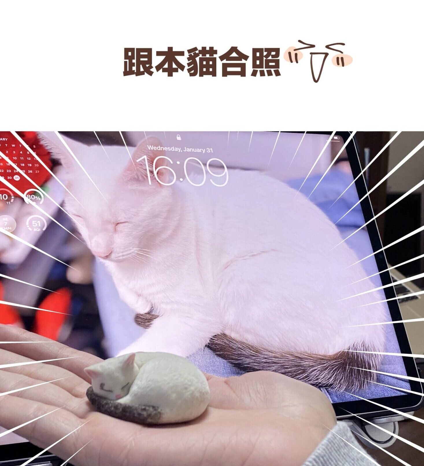 跟本貓合照XD