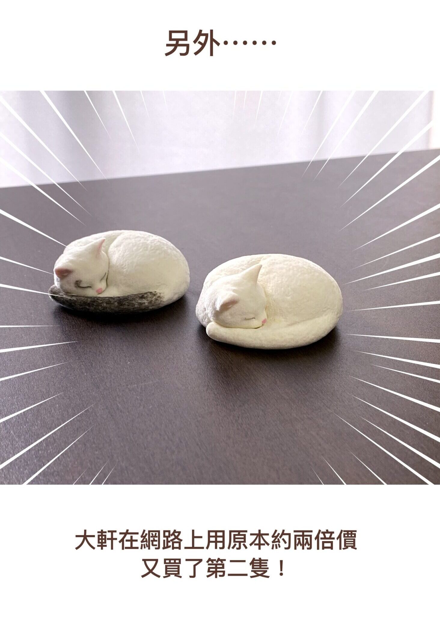 另外⋯⋯
大軒在網路上用原本約兩倍價又買了第二隻！
