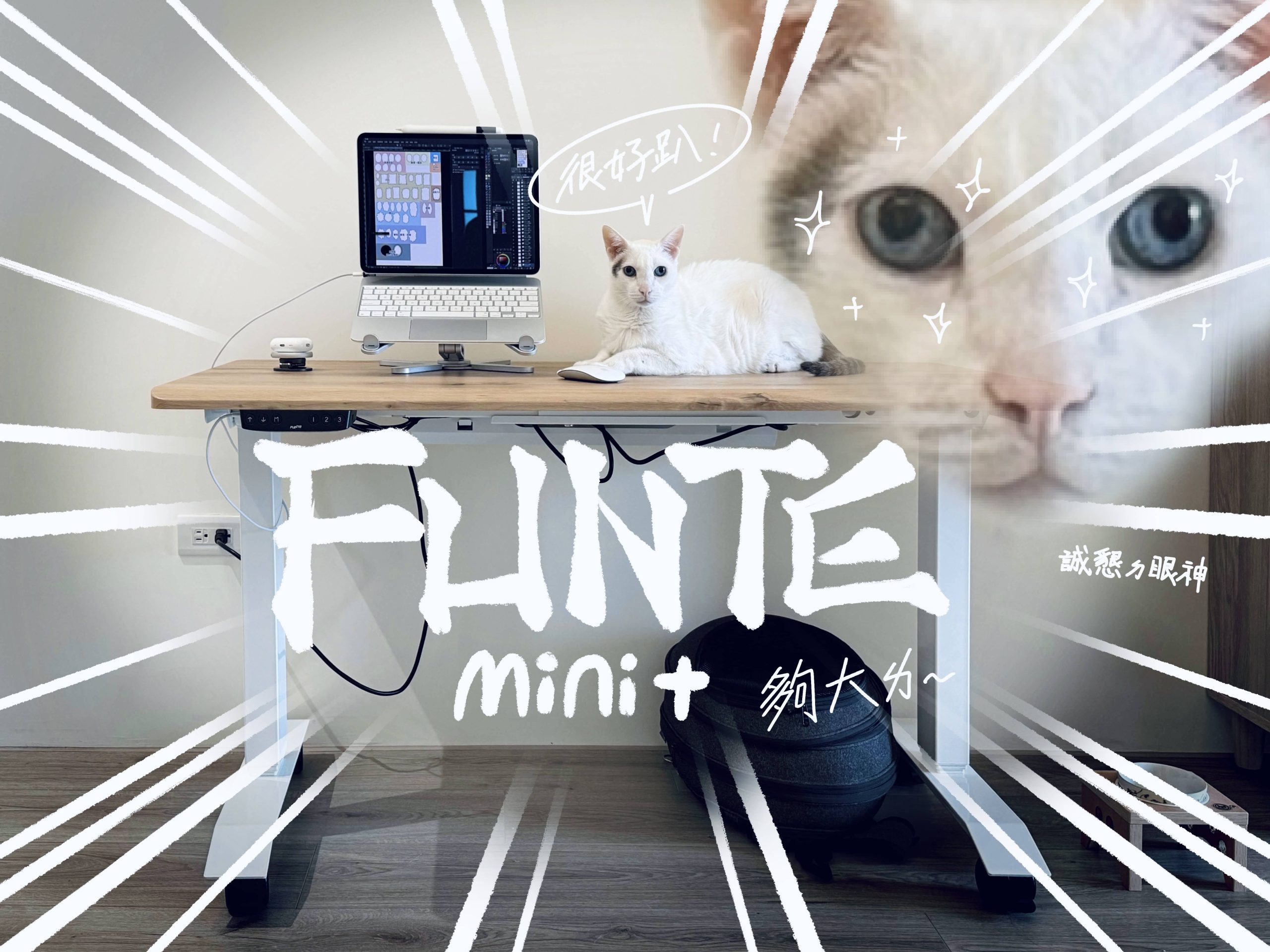 桌子不但可以升降，還可以不佔位置！FUNTE Mini+電動升降桌，臺灣升降桌領導品牌～