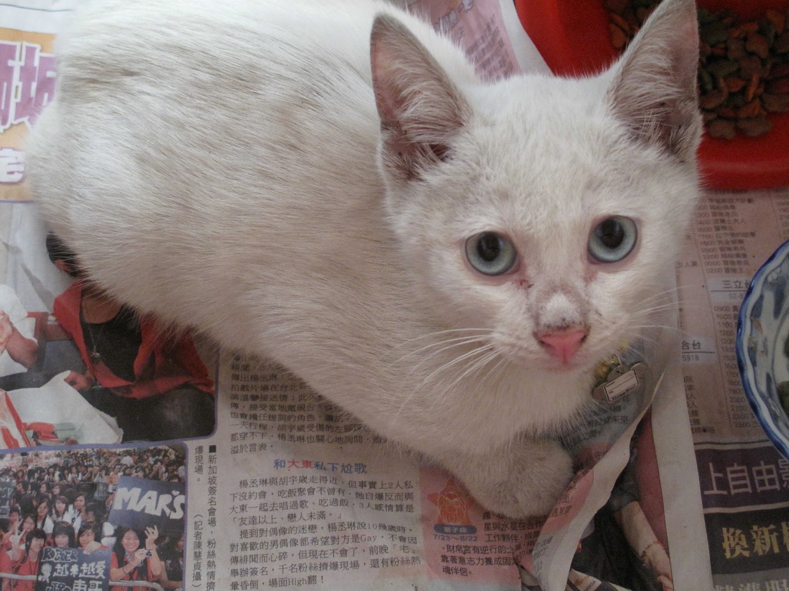 摳摳的回首好時光 綜合口味